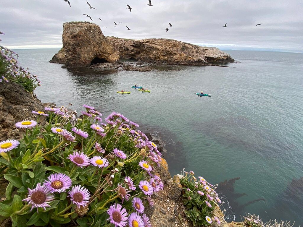 1024x768 Channel Islands Exploration: Your Ultimate Guide