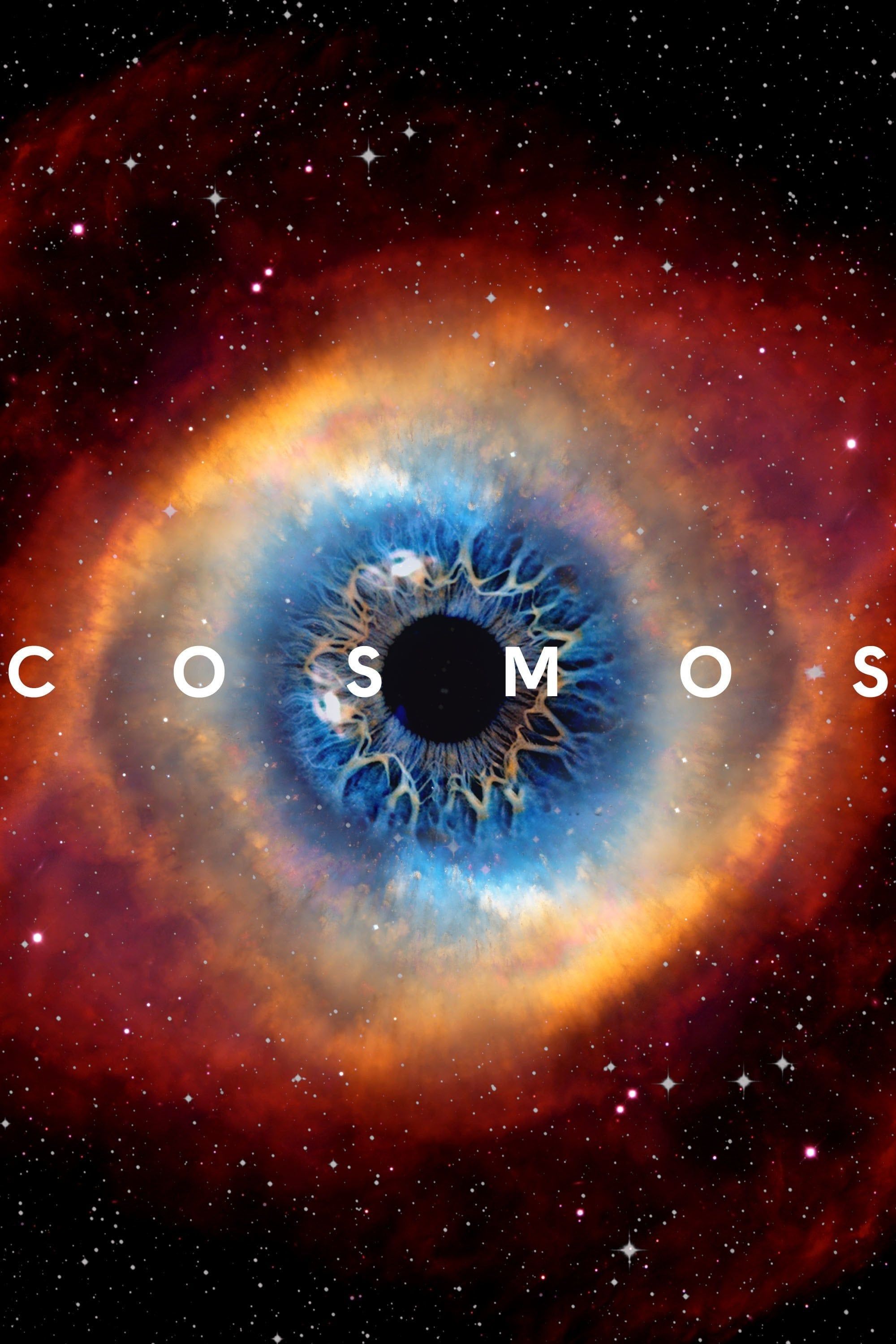 2000x3000 Cosmos: A Spacetime Odyssey (2014)