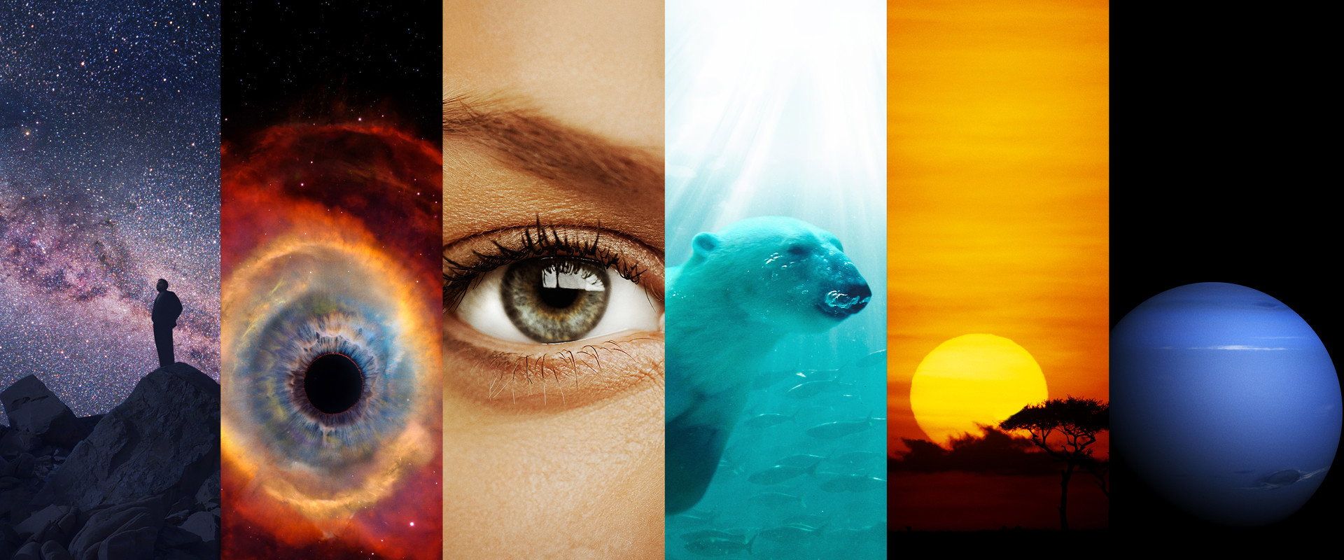 1920x800 Cosmos: A Spacetime Odyssey
