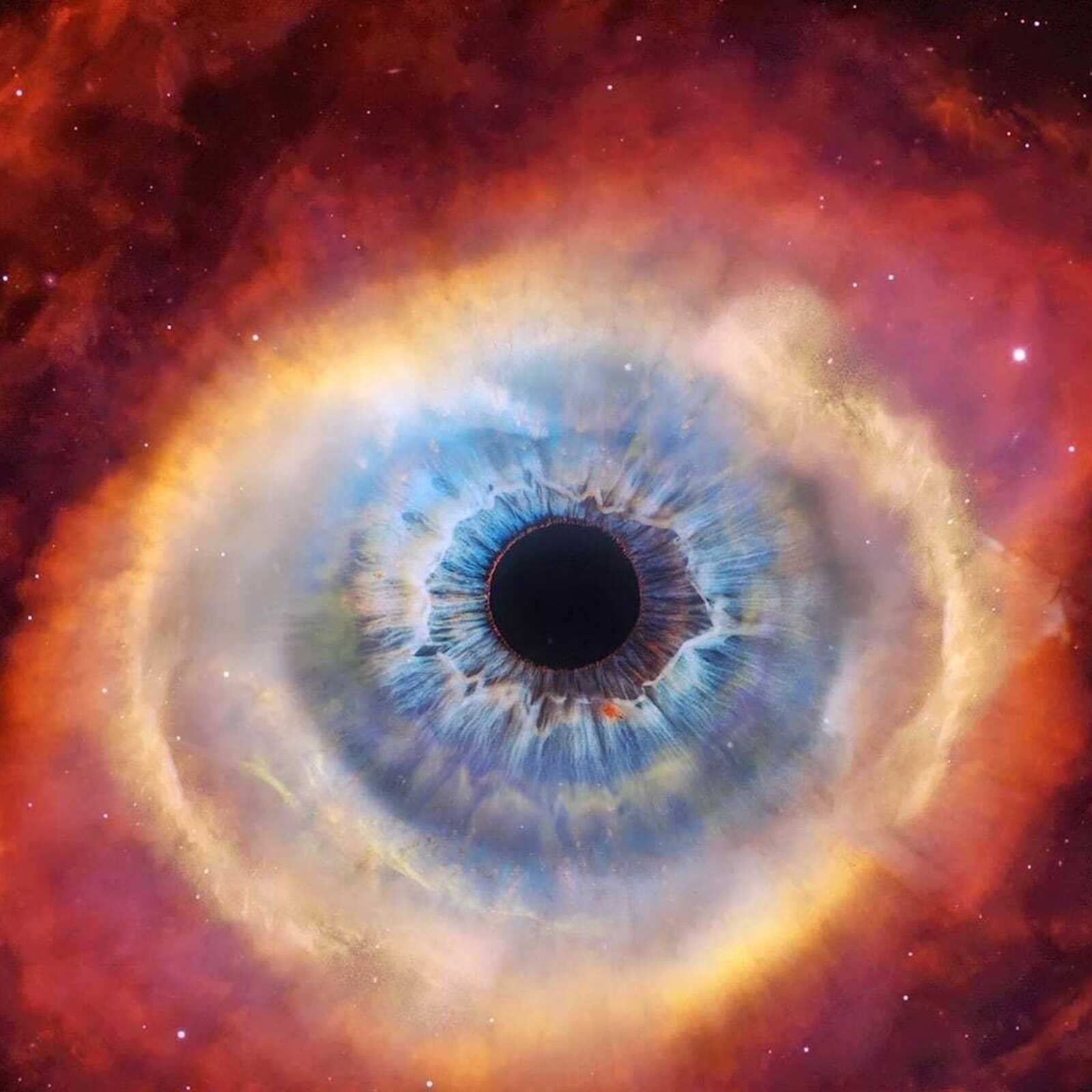 1600x1600 Cosmos: A Spacetime Odyssey
