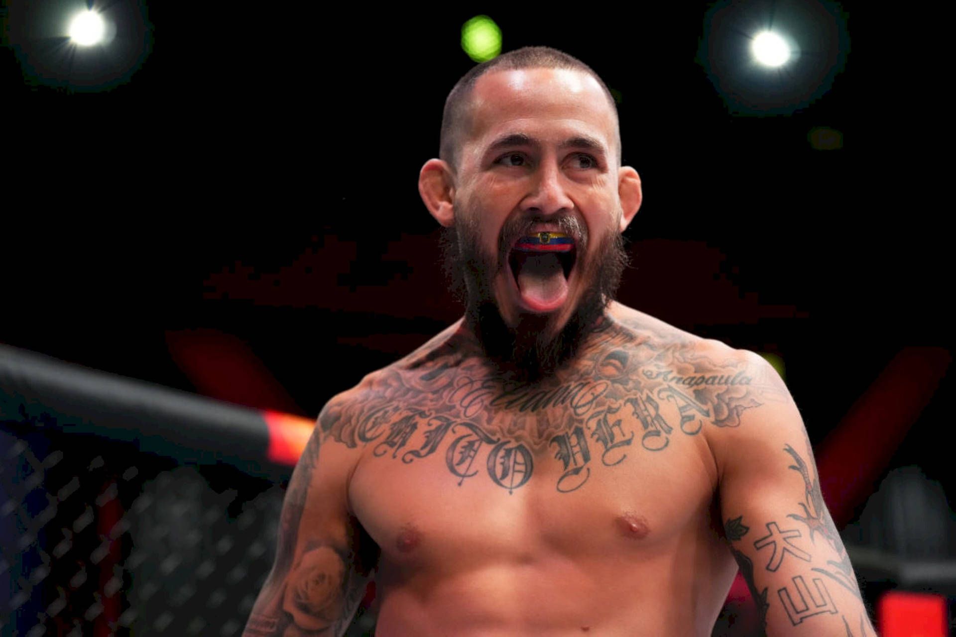 1920x1280 Marlon Vera Wallpaper