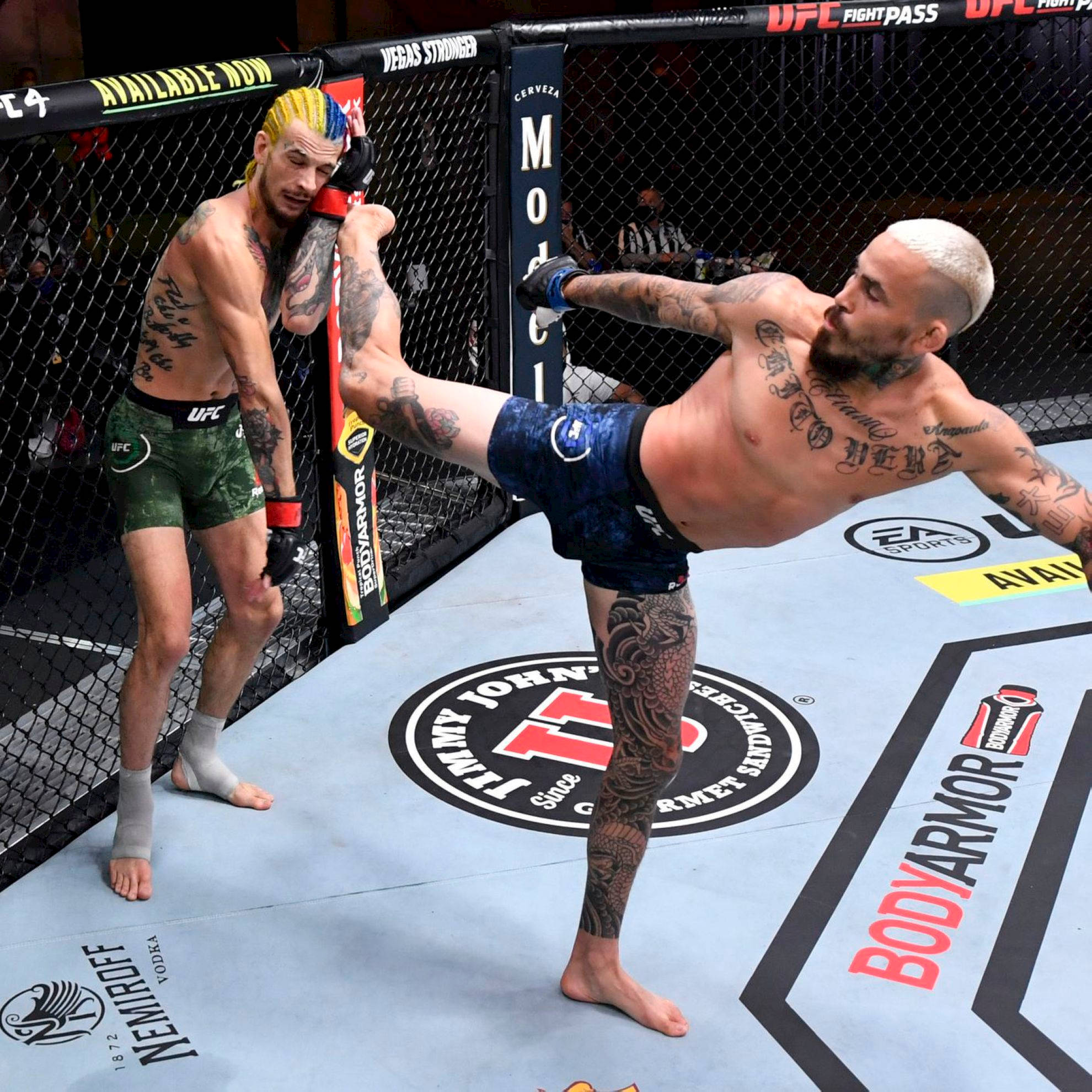 1980x1980 Download Marlon Vera Kick Blonde Wallpaper