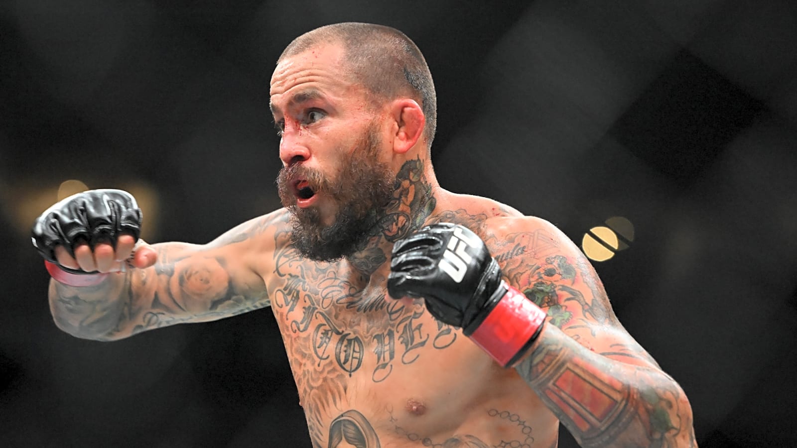 1600x900 UFC Fight Night