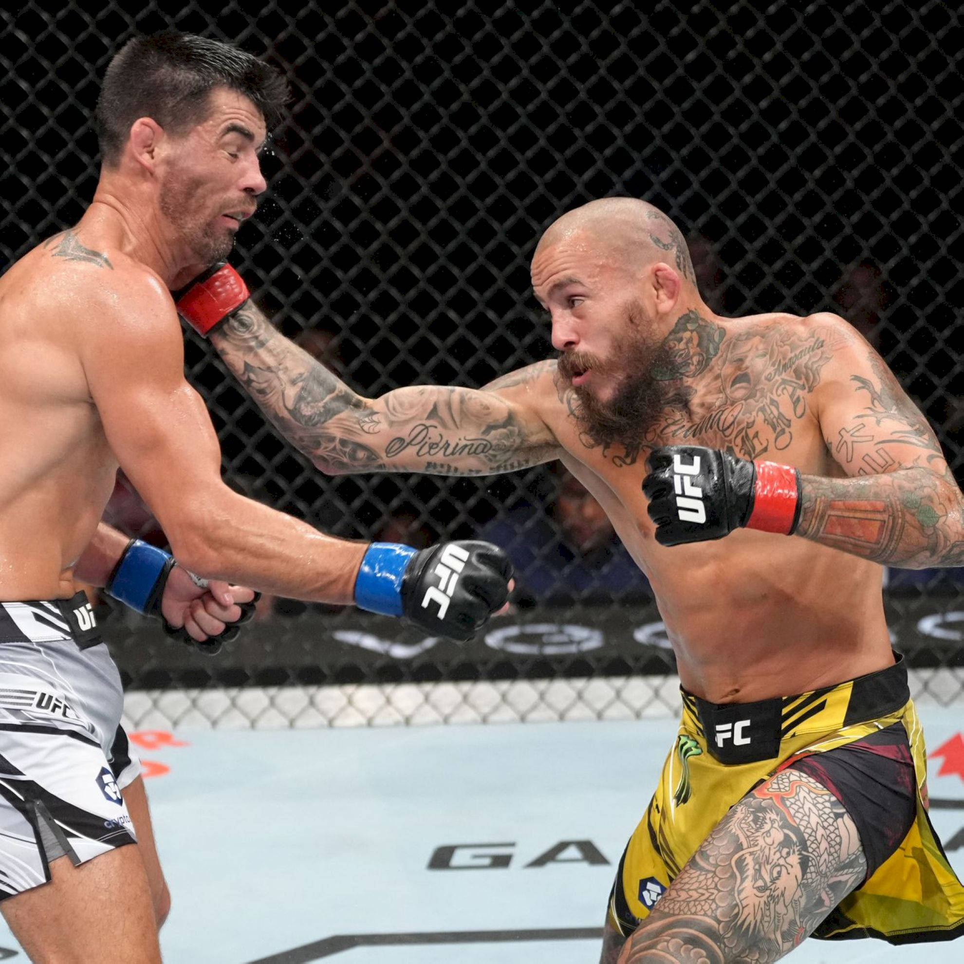 1980x1980 Download Marlon Vera Uppercut Wallpaper