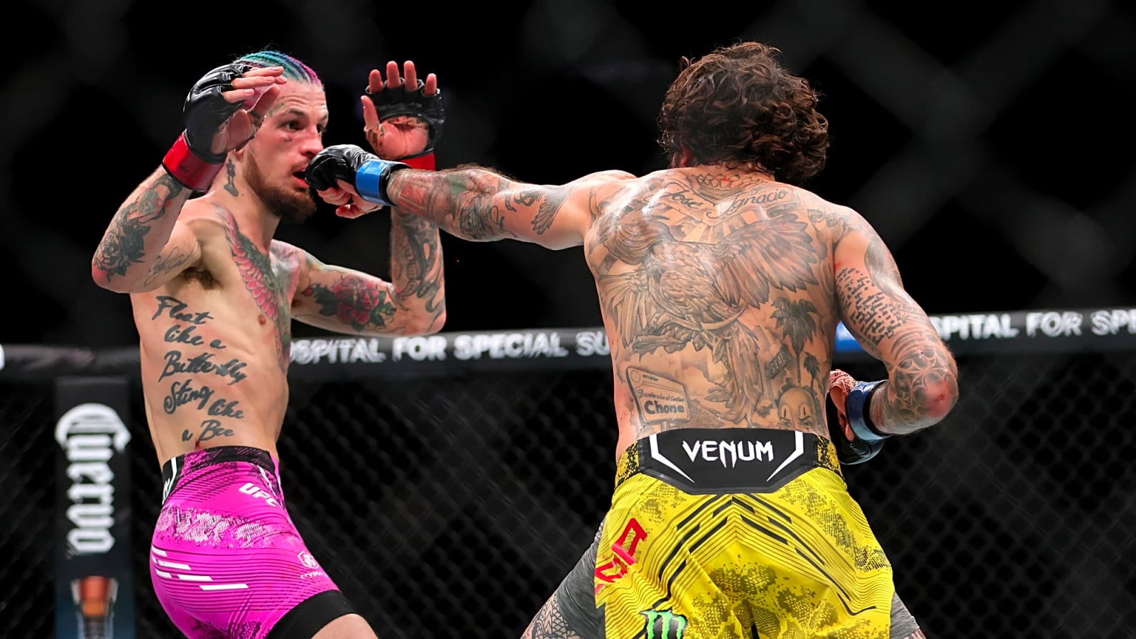 1600x900 Vera Explains Coaching Changes Ahead Of UFC 331