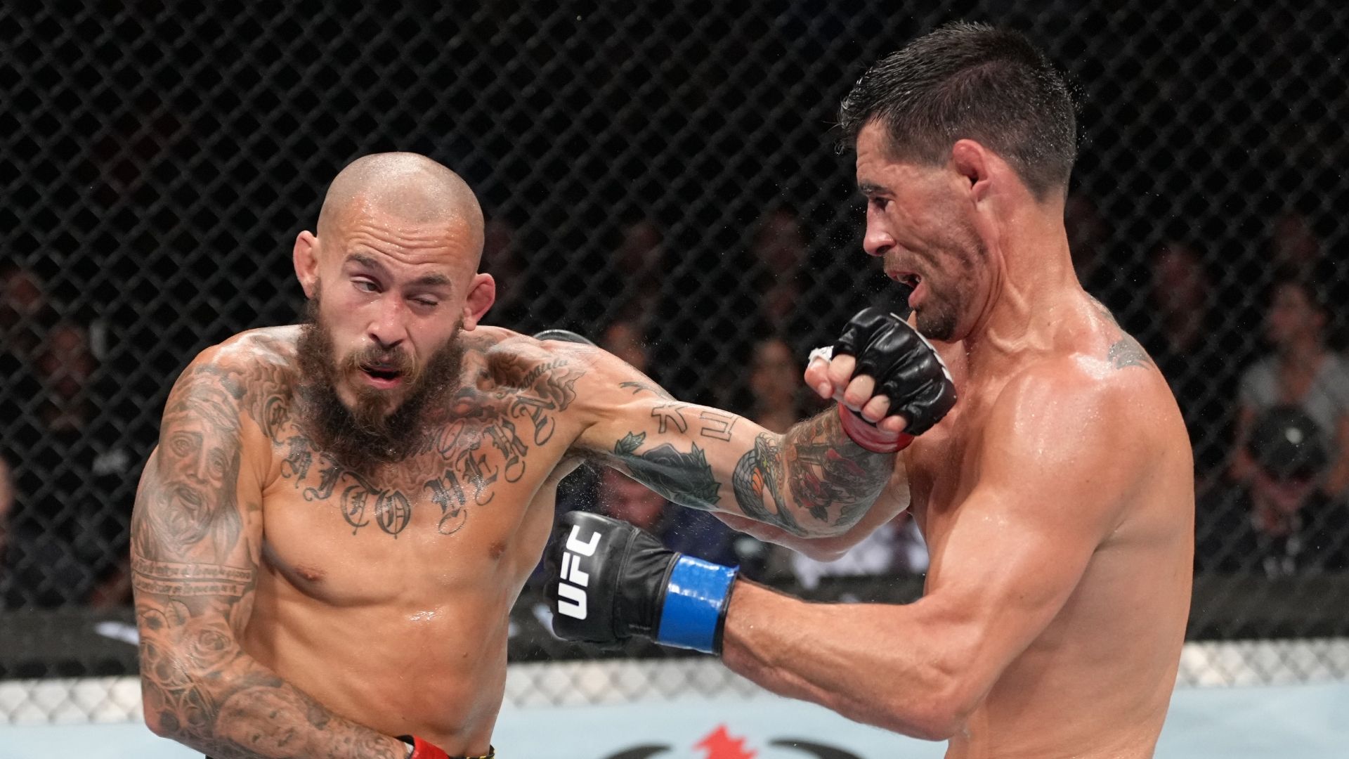 1920x1080 Marlon Vera (Bantamweight) MMA Profile