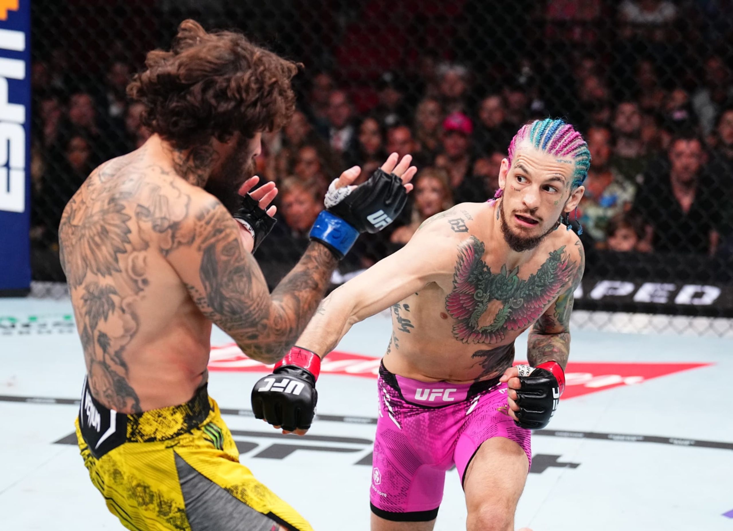 2560x1853 Sean O'Malley Beats Marlon Vera by Decision to Retain Bantamweight Title at UFC 299