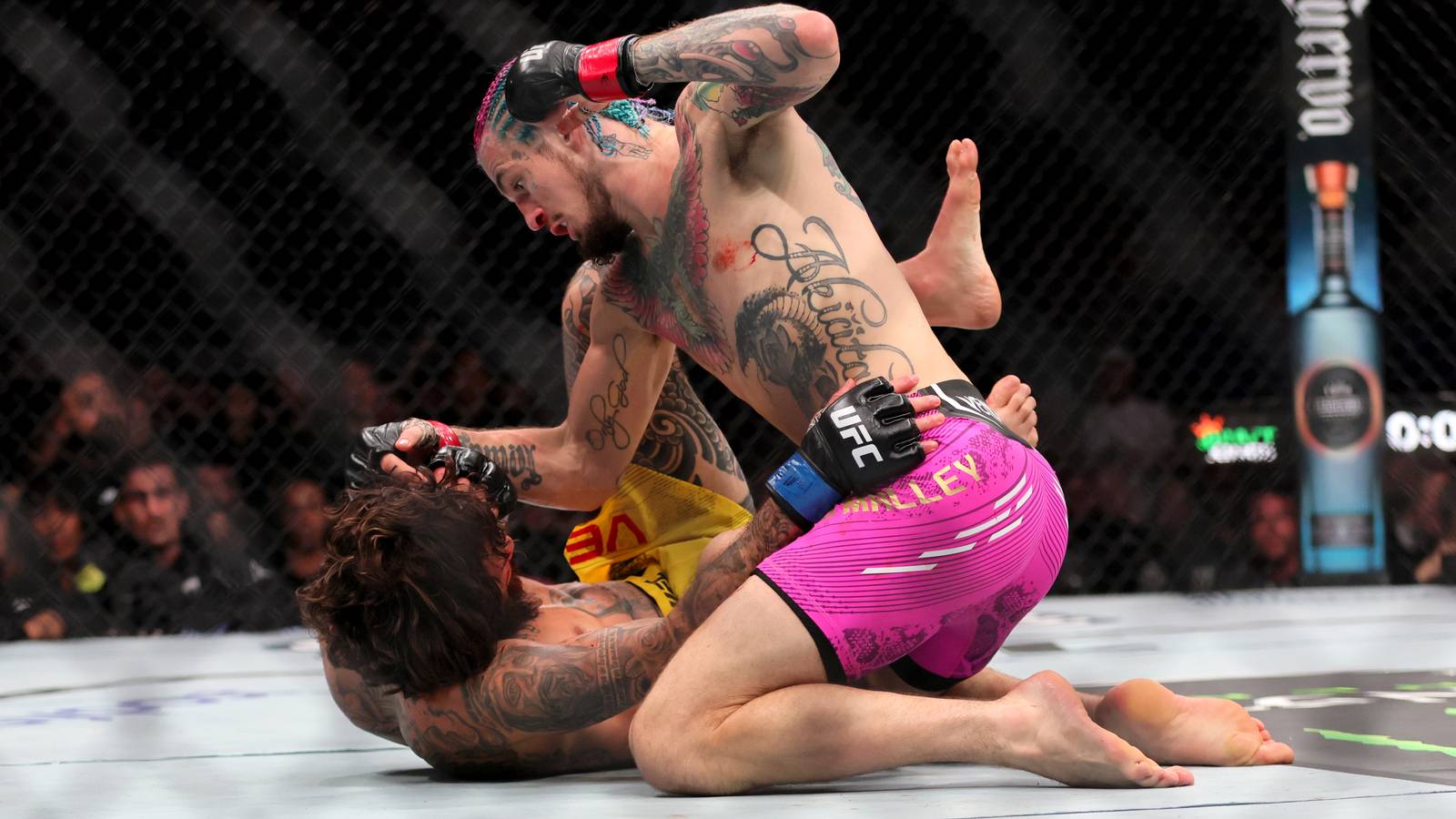 1600x900 UFC 299 Purses: How Much Will Sean O'Malley Against Marlon Vera