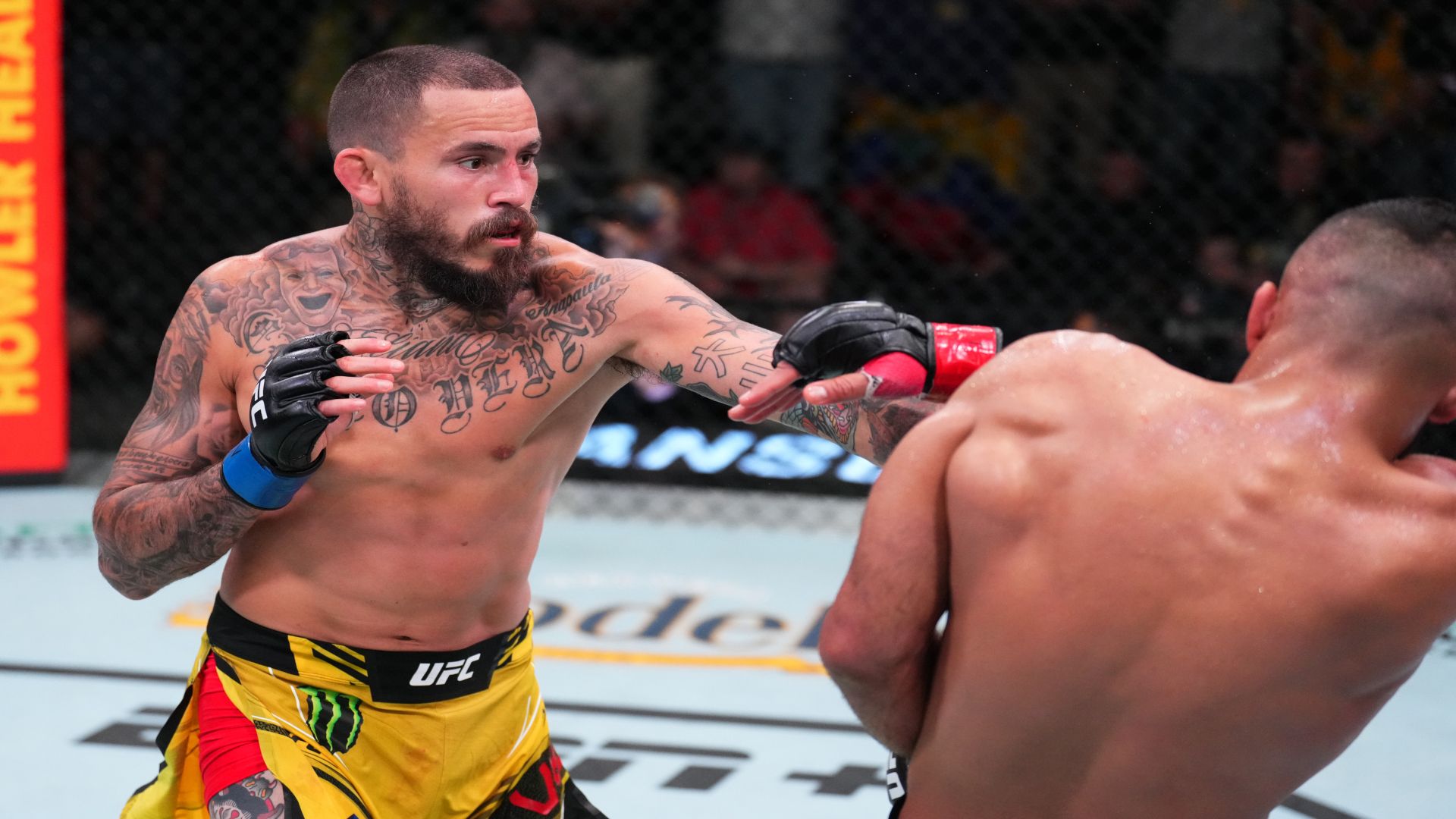 1920x1080 What time is the UFC tonight? Cagewalks, running order, streaming, how to watch Dominick Cruz vs. Marlon Vera. DAZN News US
