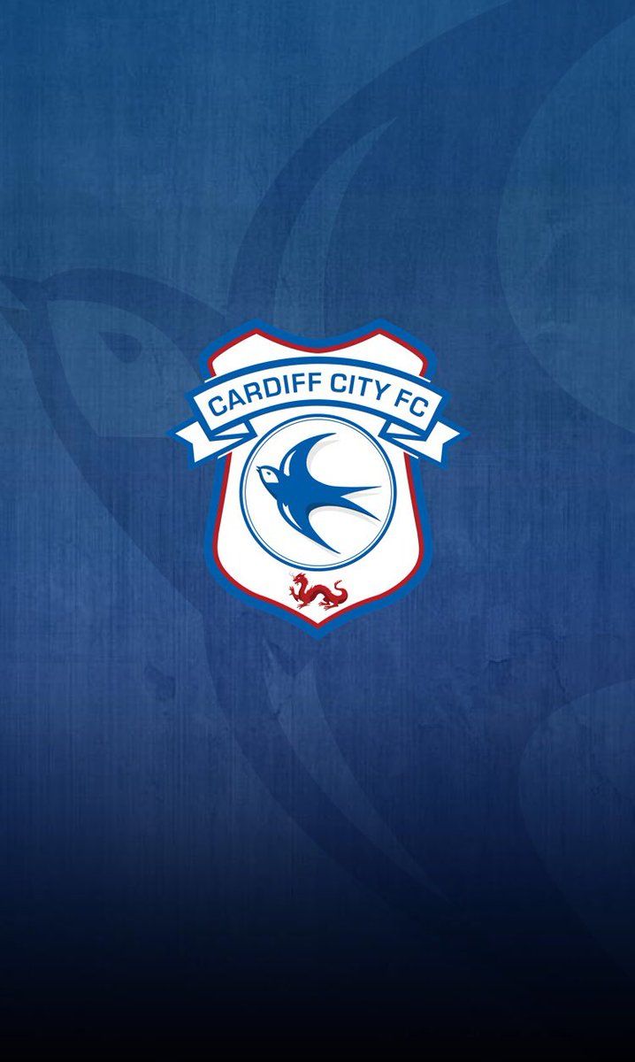 718x1200 All Things Cardiff City on X: Cardiff City Wallpaper to use on your phones as your home screen or lock screen