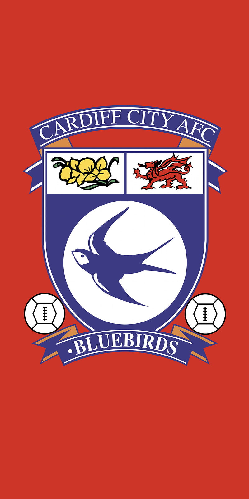 800x1600 Cardiff, epl, soccer, logo, HD phone wallpaper