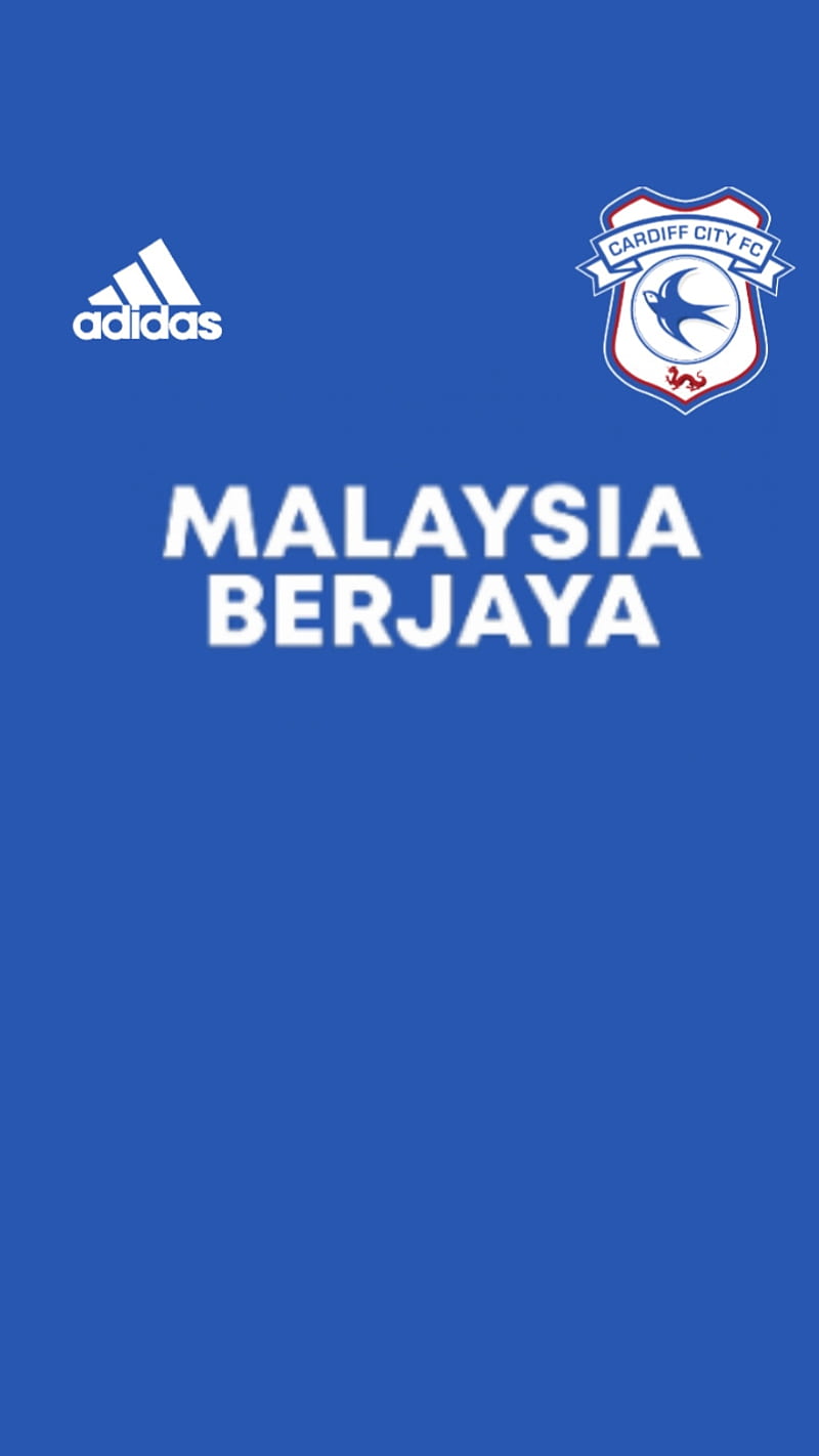 800x1422 Cardiff City, Blue, Soccer, Football, Home, Template, HD phone wallpaper