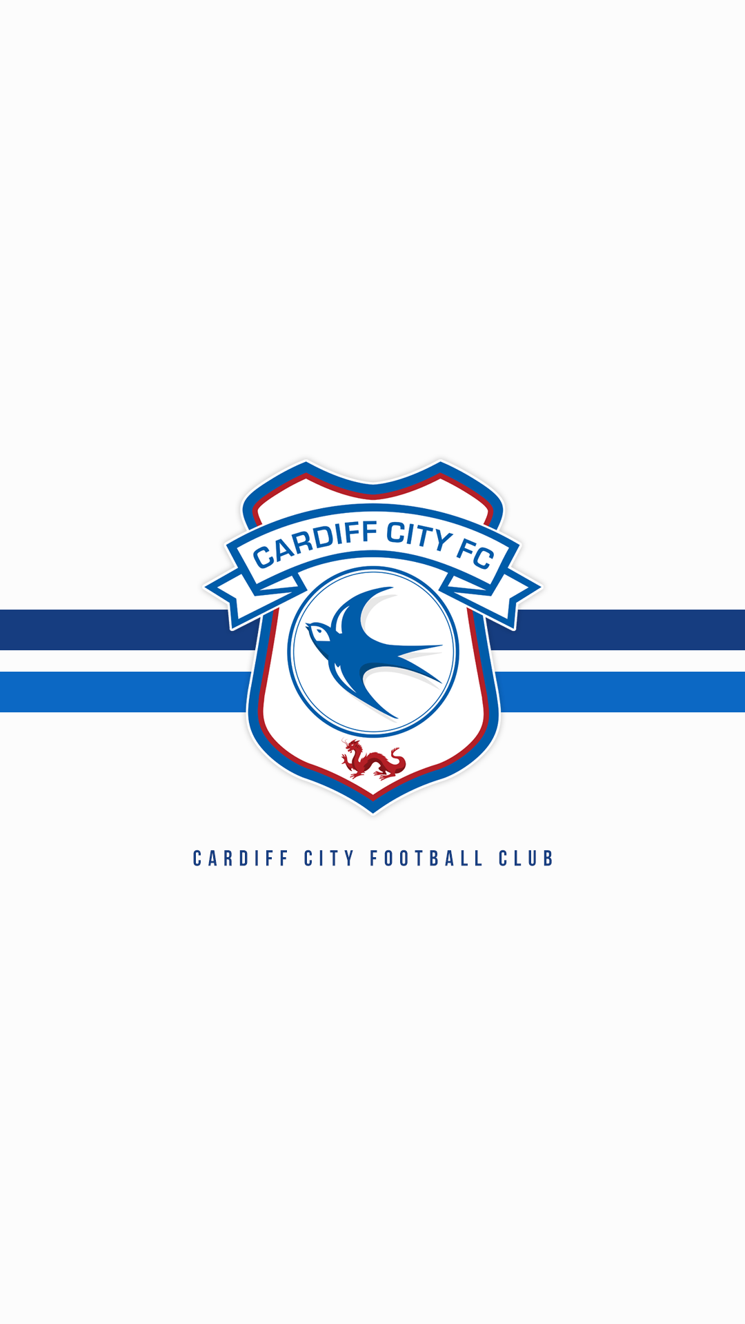 1080x1920 Cardiff City Phone Wallpaper