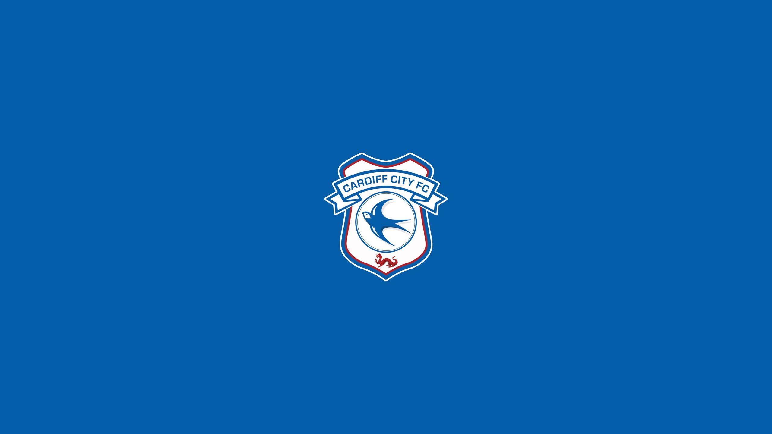 2560x1440 Cardiff City F C Phone Wallpaper: Free 4K & HD Downloads