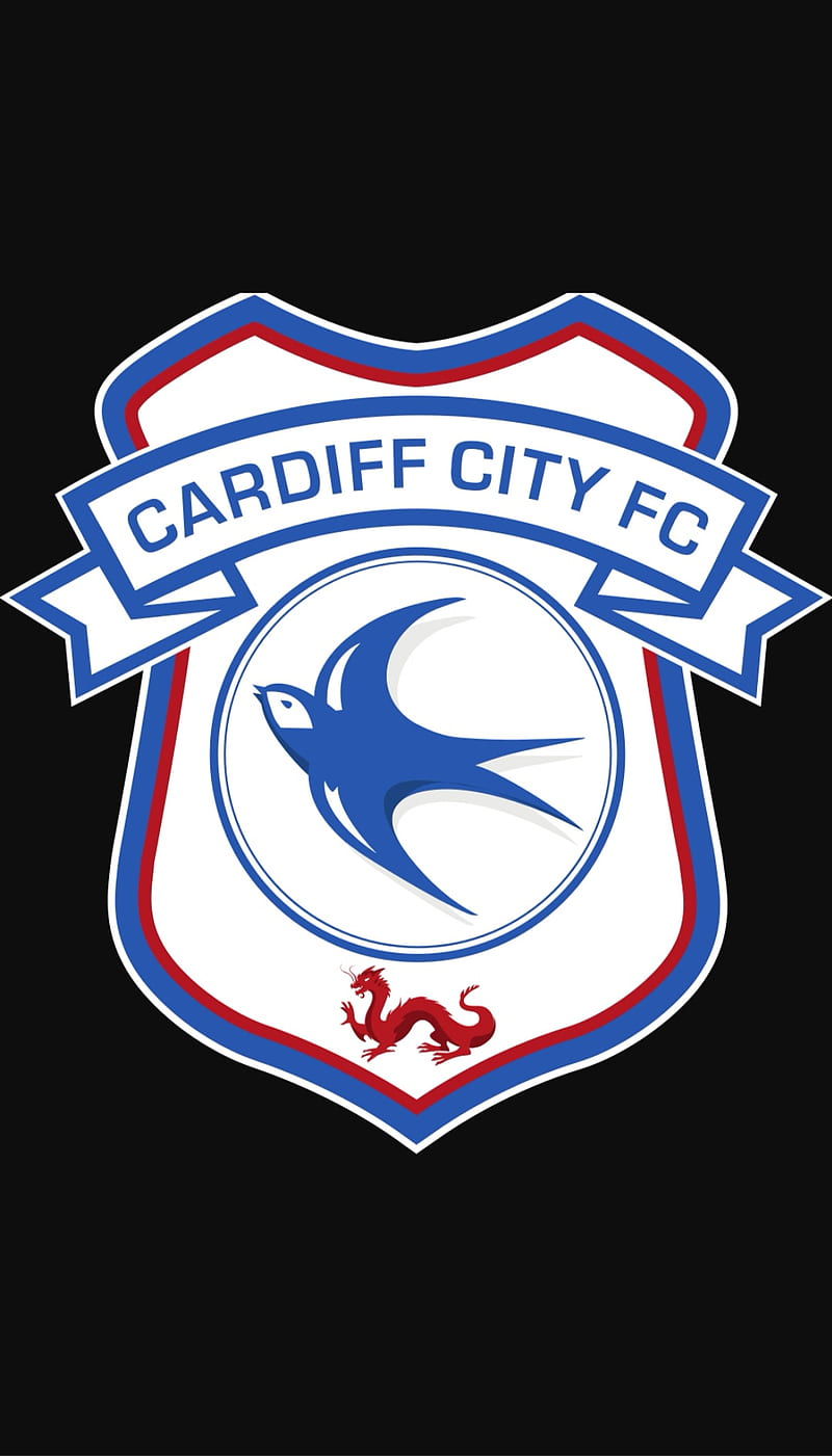 800x1401 Cardiff City, football, team, HD phone wallpaper