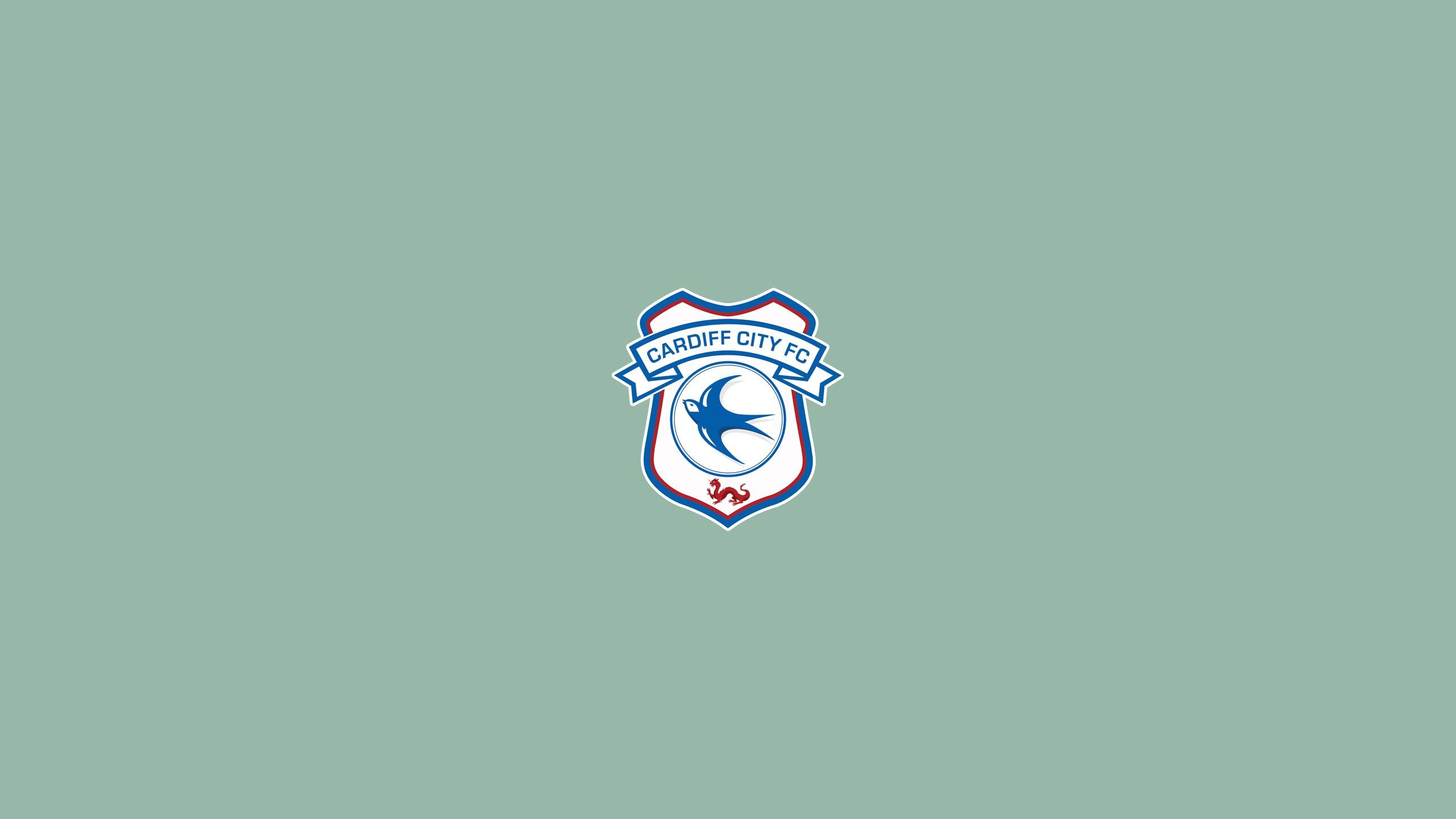 2560x1440 Cardiff City F C Phone Wallpaper: Free 4K & HD Downloads