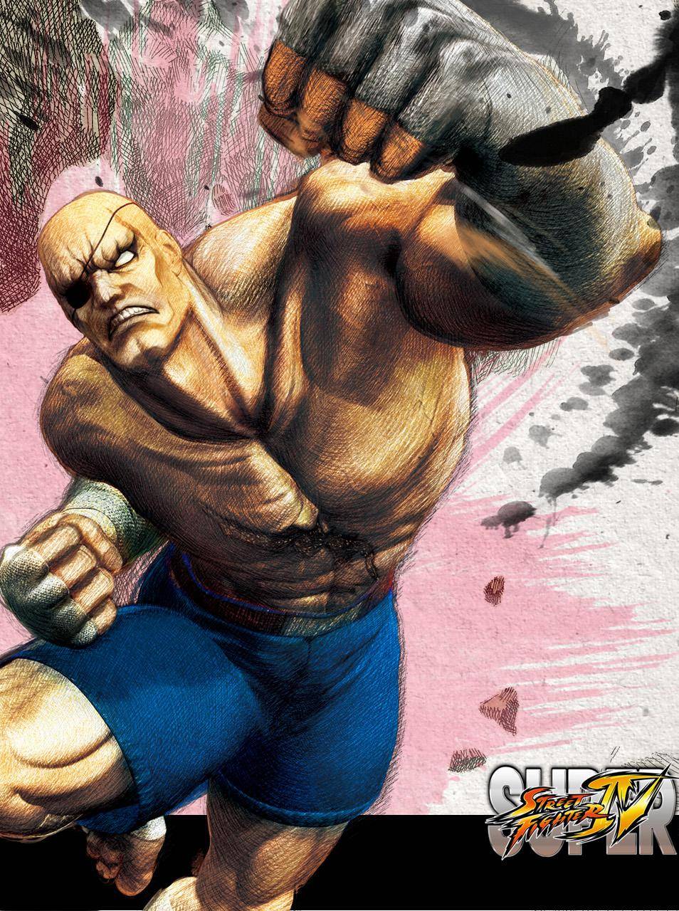 954x1280 Sagat wallpaper