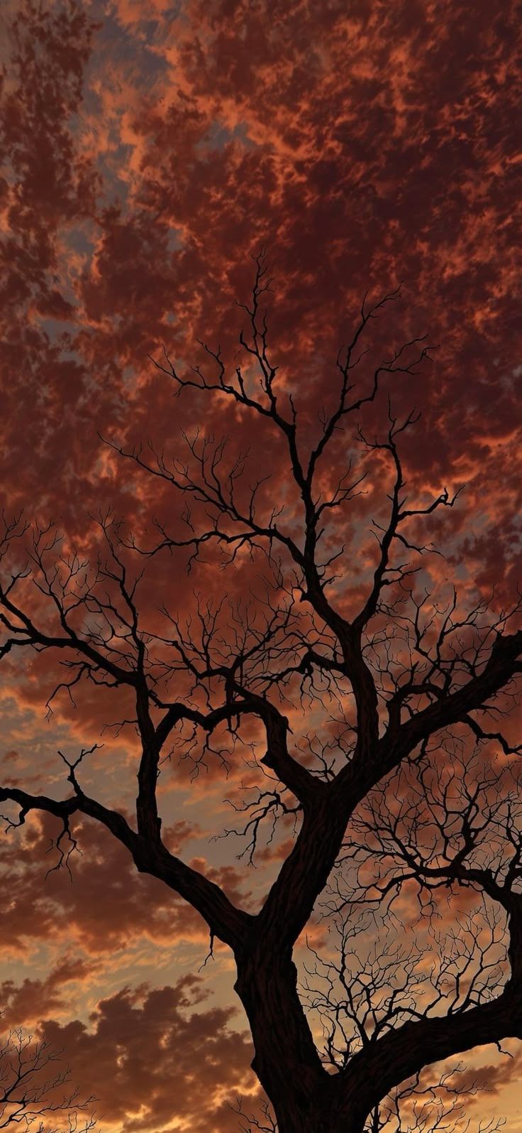 736x1595 Flaming sunset wallpaper. Fall sky wallpaper, Samsung a03 core wallpaper, Scenery wallpaper