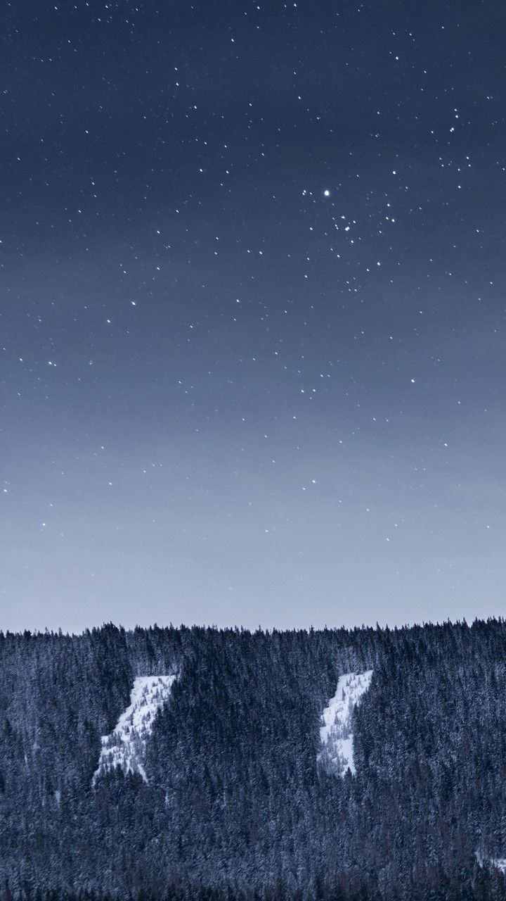 720x1280 Mountain With Trees Under Gray Sky With Stars 4K 5K HD Space Wallpaper