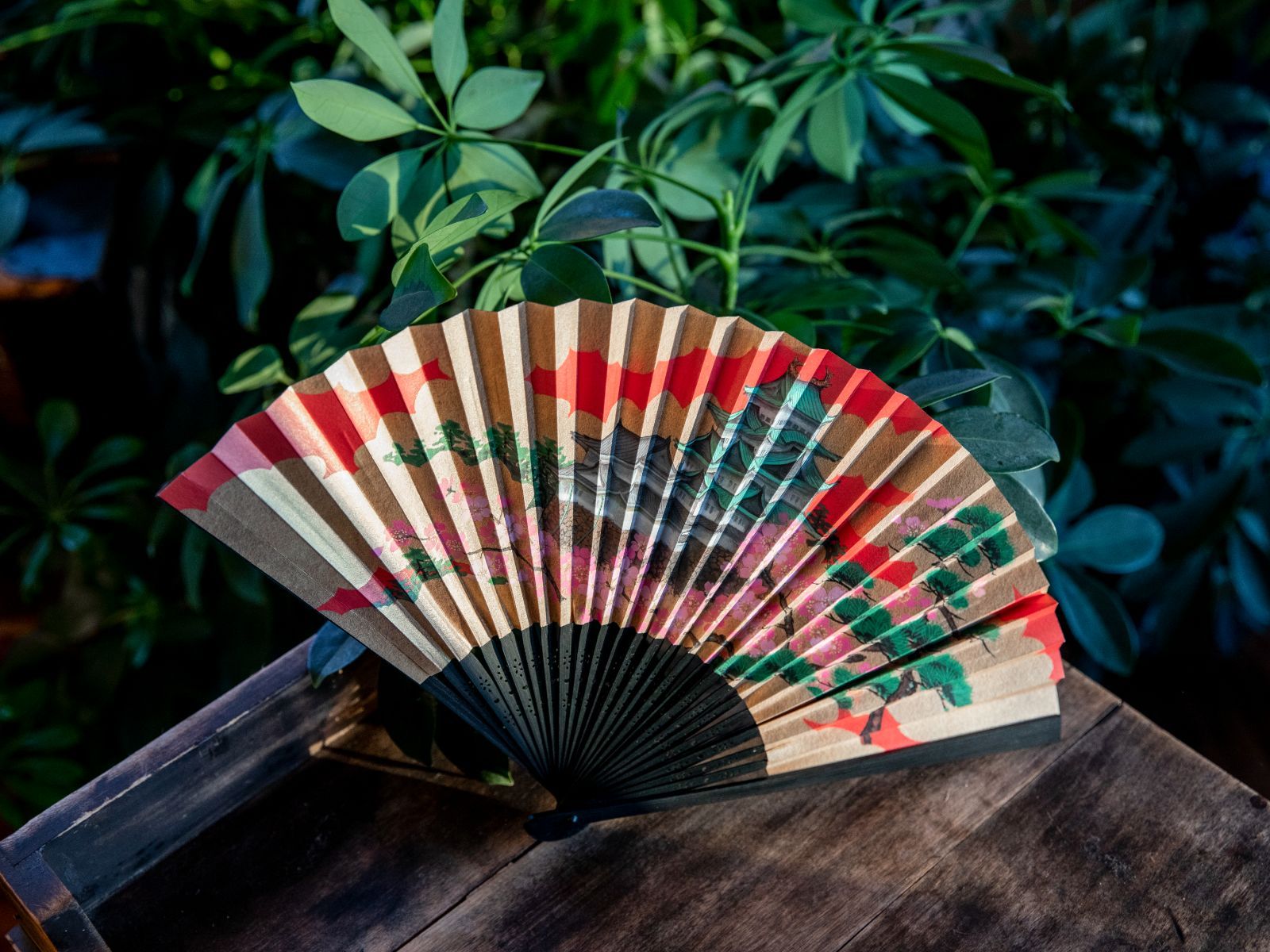 1600x1200 Traditional Hand Fan Dragonfly