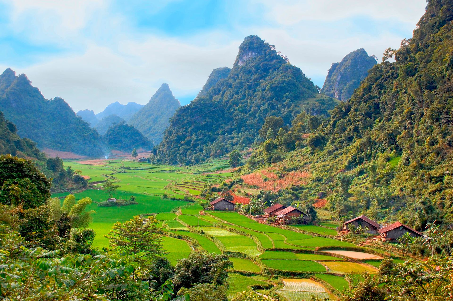 1920x1277 Vietnamese Mountain Village and Lush Rice Terraces HD Wallpaperx1277