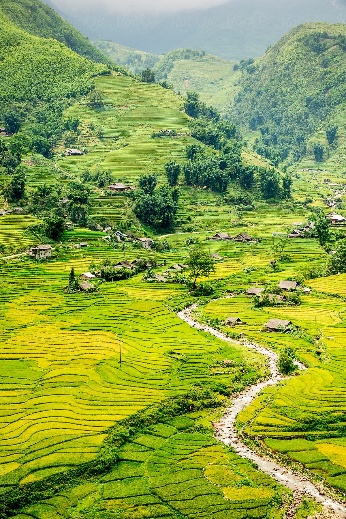 1200x1798 Vietnamese Village Along The River