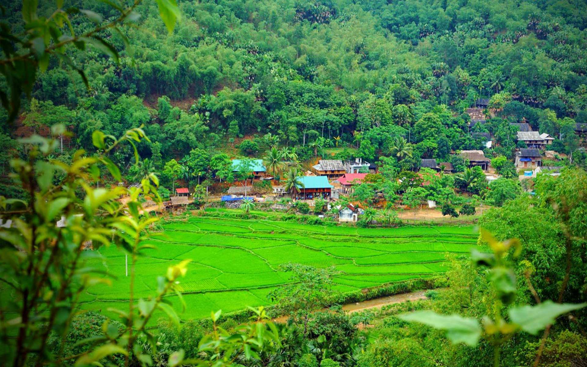 1920x1200 Vietnam Travel Blog. Vietnam Travel Tips. The Comprehensive Guide For Your Trip To Vietnam