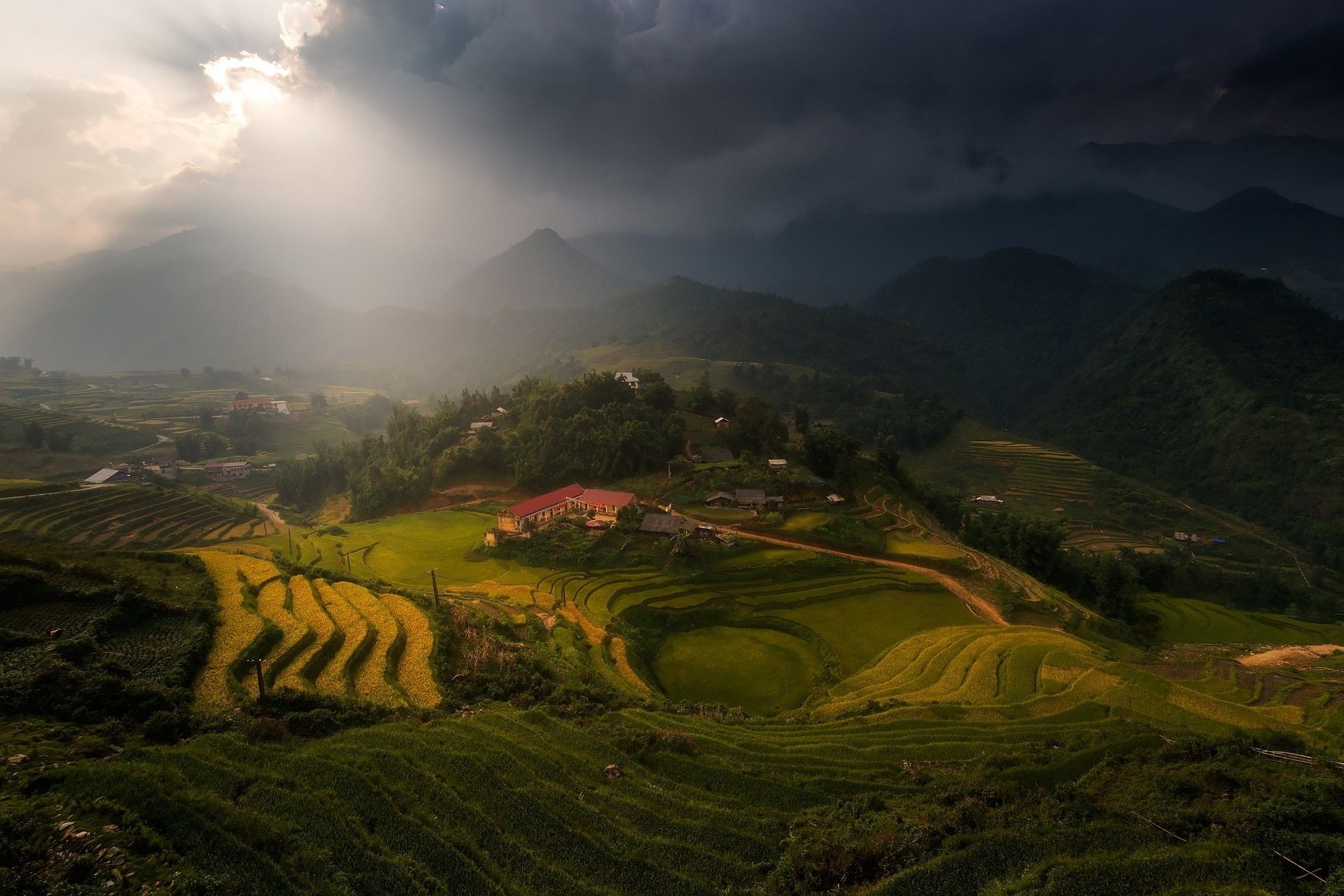 1920x1280 landscape, Nature, Mist, Village, Mountain, Tea, Terraces, Field, Clouds, Sun Rays, Sunlight, Trees, Vietnam, Rice Paddy Wallpaper HD / Desktop and Mobile Background