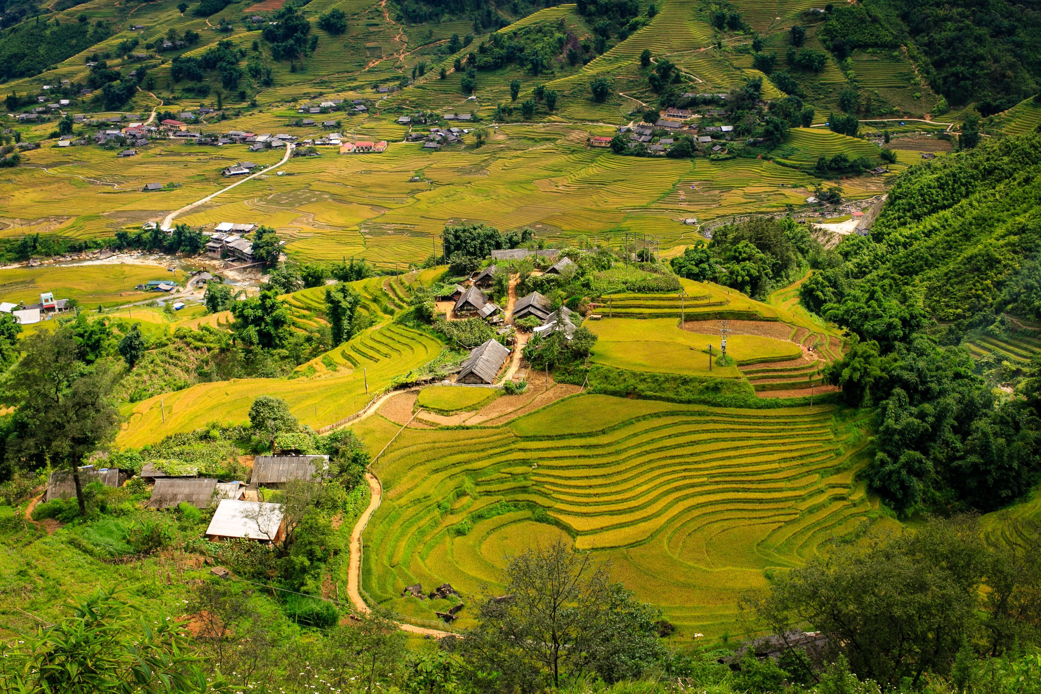 3436x2291 Scenic Mountain Village in Vietnam's Rice Terraces · Free