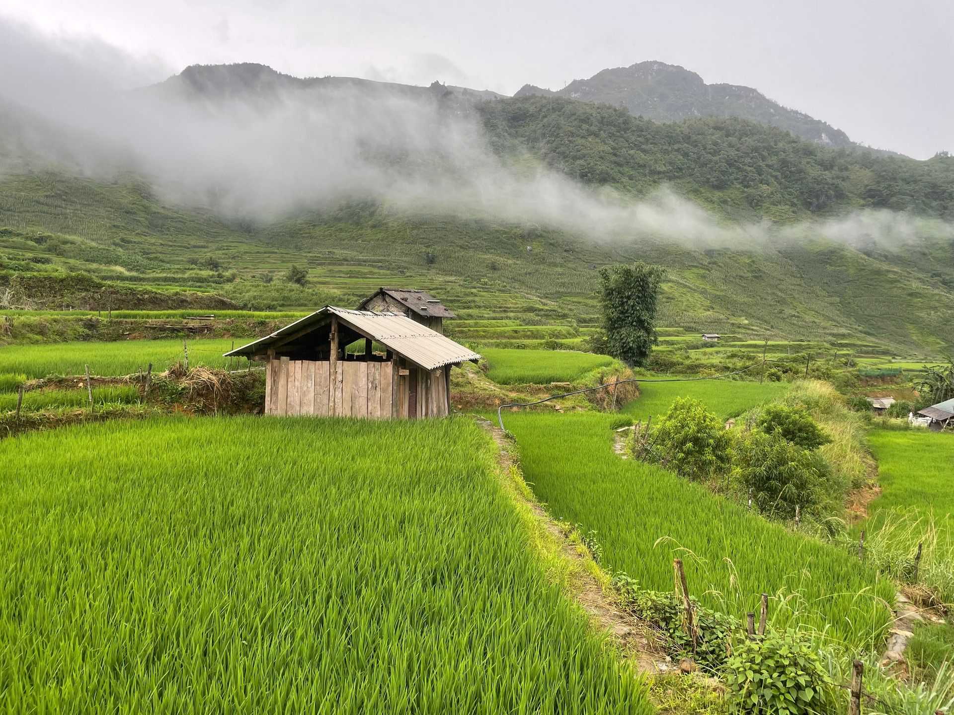 1920x1440 Unforgettable Vietnam Journey with Excellent Service. Trip.com Vietnam