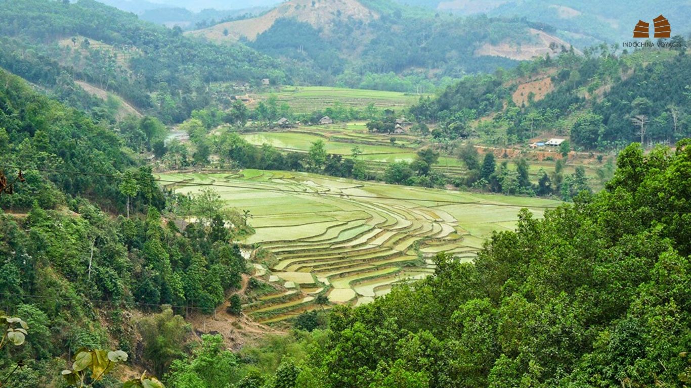 1366x768 Ban Pho Village: Where Nature Meets Hmong Culture in Sapa