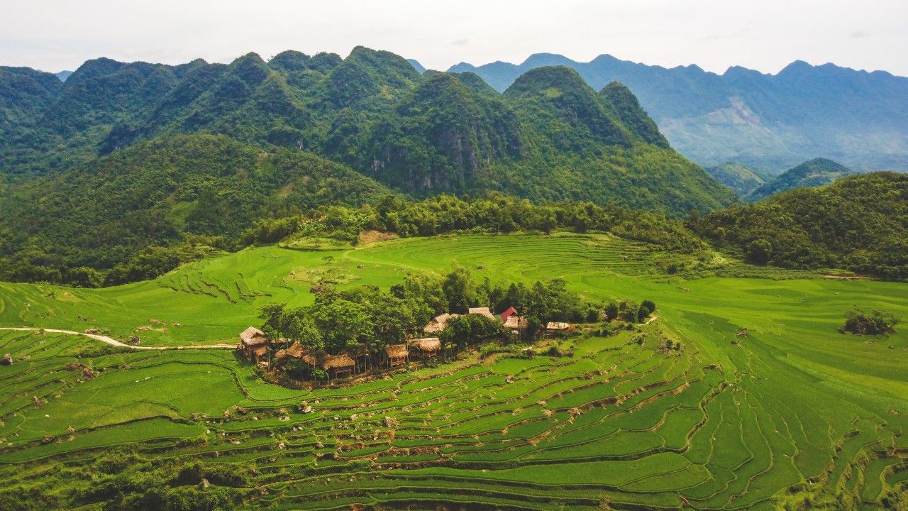 1280x720 Wonderful Wooded Stays in Vietnam to Celebrate the International Day of Forests. Leisure & Travel
