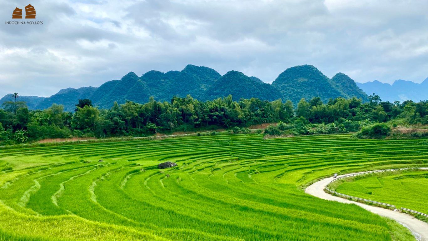 1366x768 Pu Luong Travel Guide: A Vietnam Hidden Gem for Nature Lovers