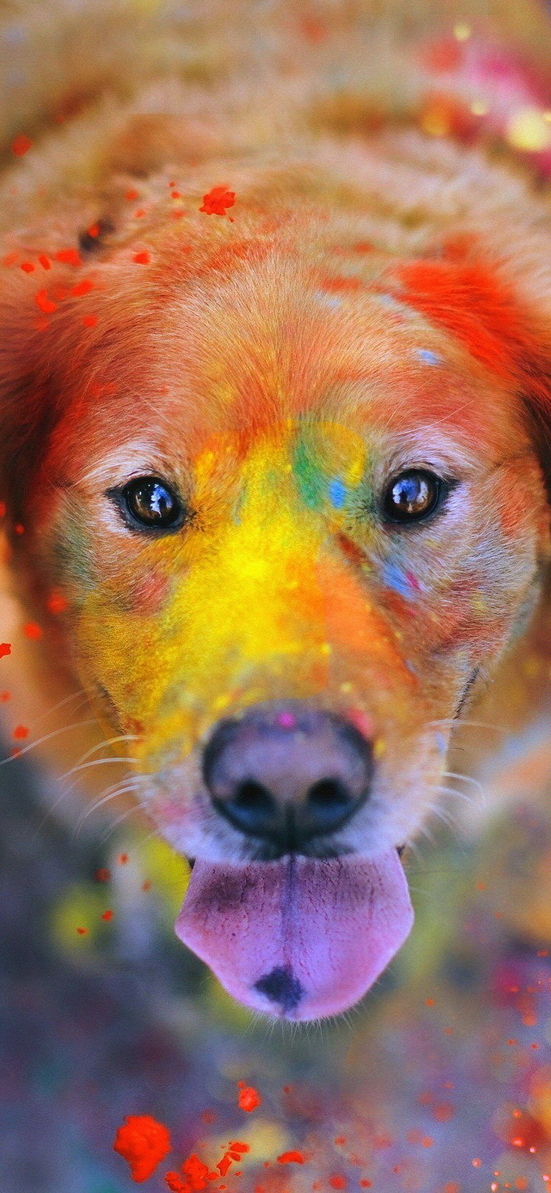 1125x2436 Dog Smile Fall Leaves Art Nature iPhone Wallpaper