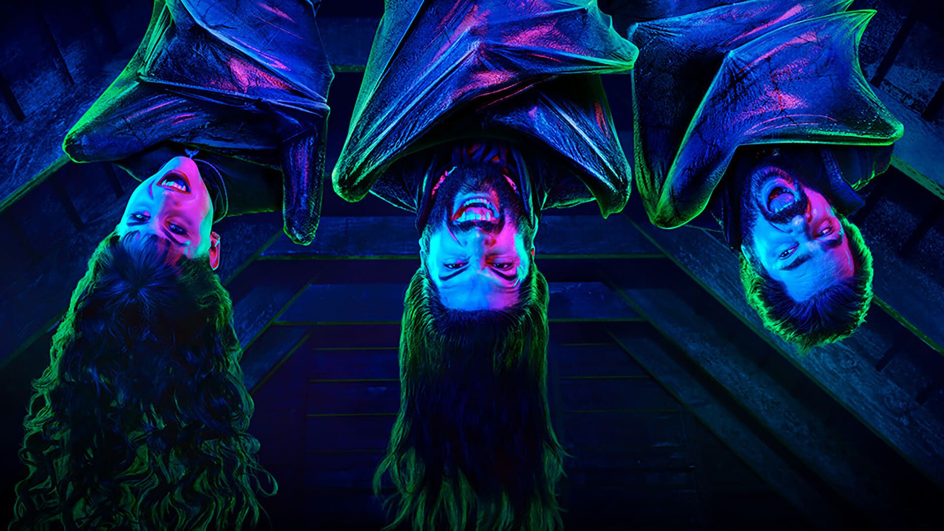 1920x1080 What We Do in the Shadows Wallpaper