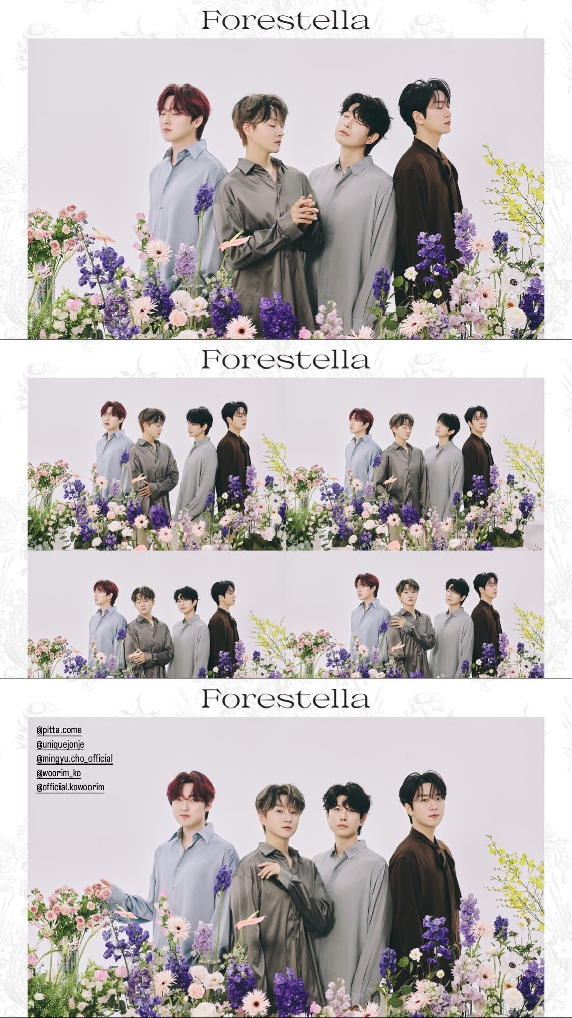 1125x2000 Discover 31 Forestella Members and forestella bad romance ideas. forestella members name, forestella group photo, forestella kpop and more