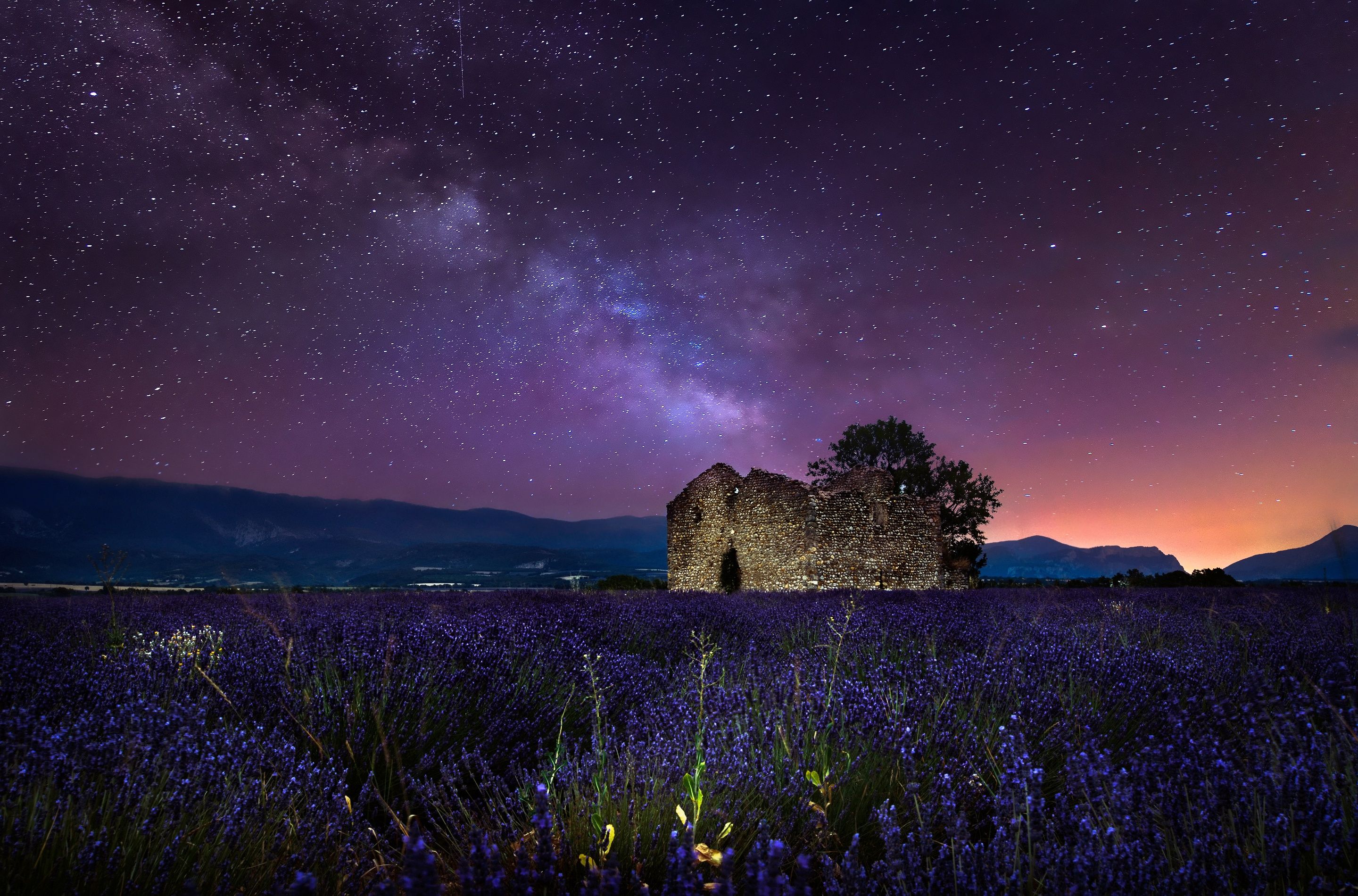 2880x1900 Phone wallpaper: Lavender, Purple Flower, Starry Sky, Earth, Field, Flower, Night, Ruin, Sky, Flowers 399411