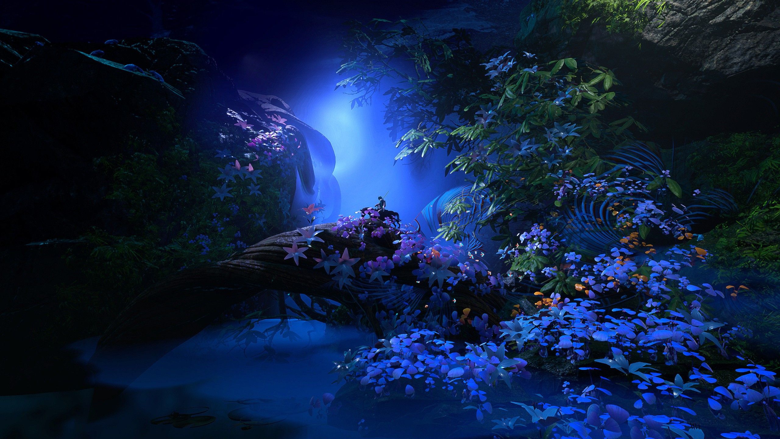 2560x1440 Flowers Night Blue HD Fantasy Landscape Wallpaper