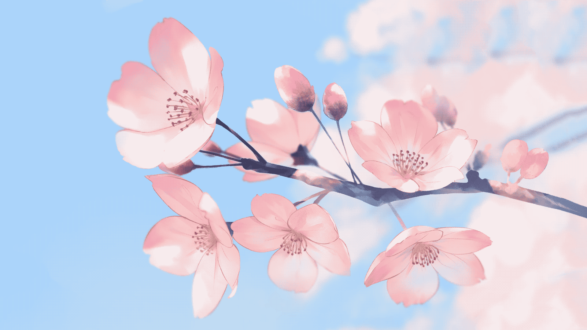1920x1080 Cute Wallpaper Aesthetic Wallpaper HD