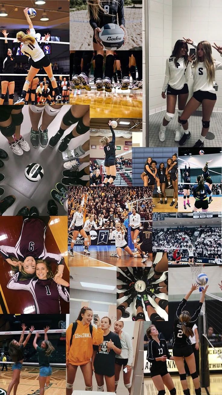 736x1309 Volleybal Wallpaper / collage