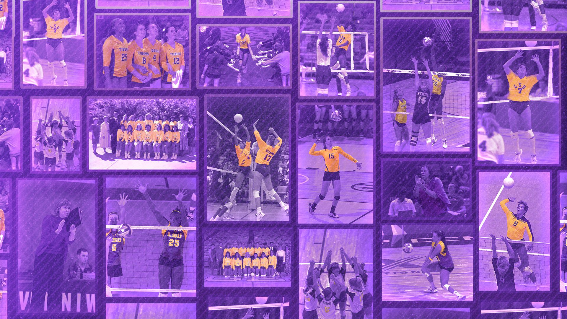 1920x1080 Years of LSU Volleyball.net Official Website of LSU Athletics