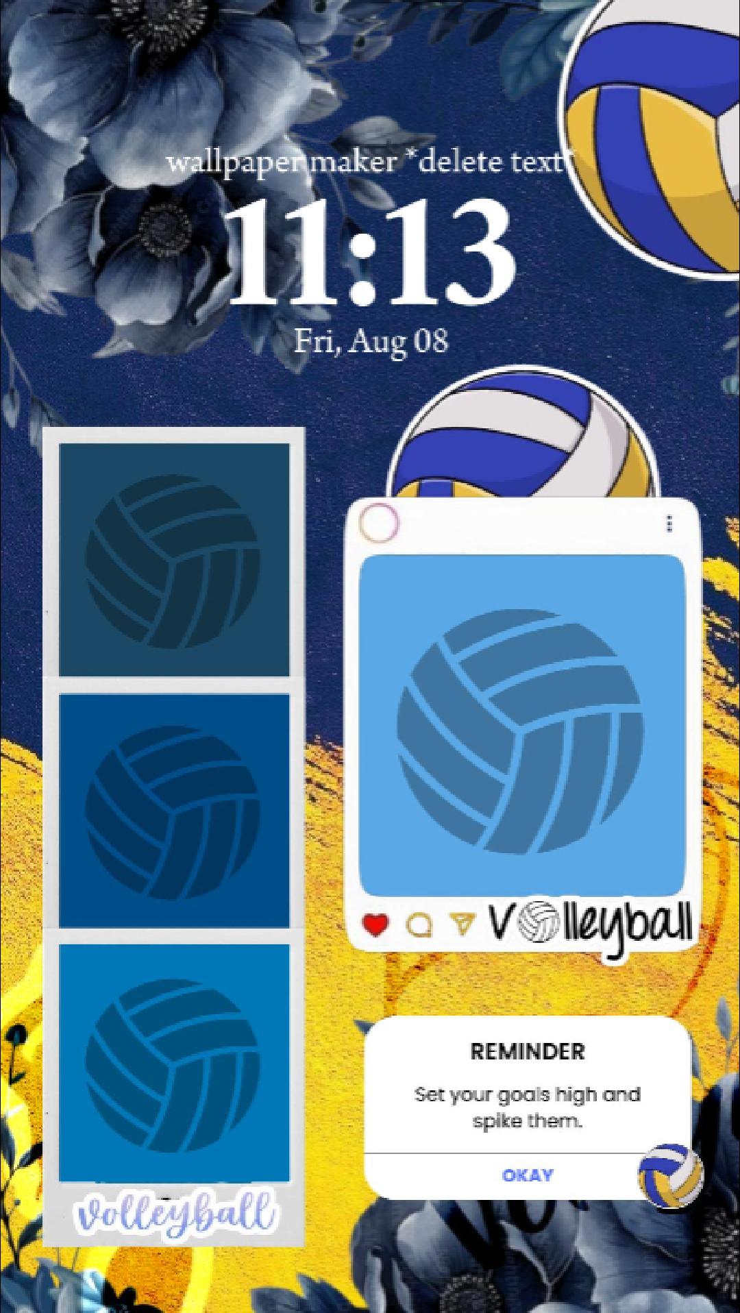 1080x1916 vball wlpr
