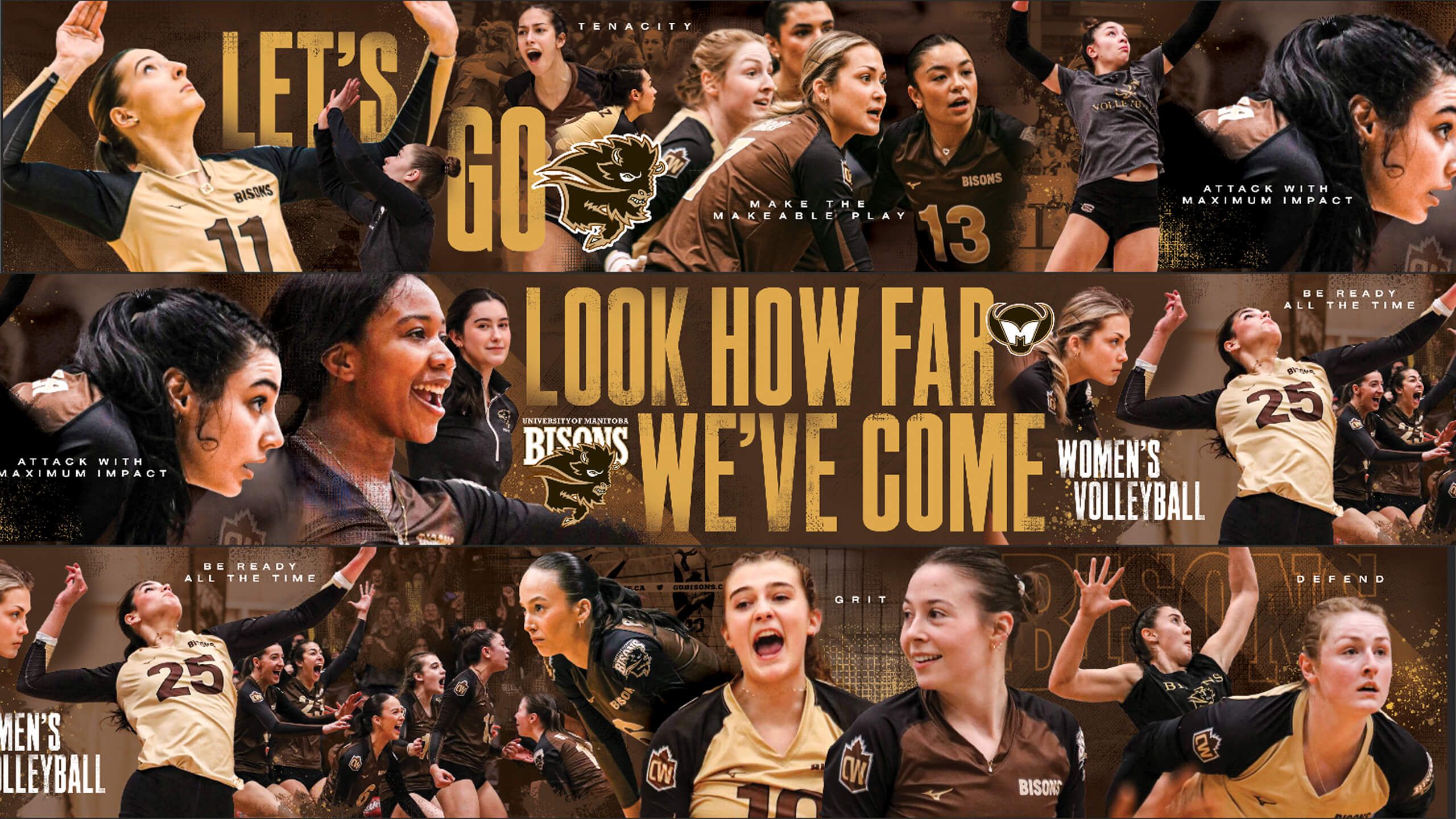 2560x1440 U of M Bisons Volleyball