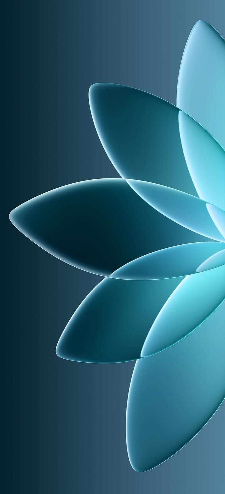 736x1617 Wallpaper aesthetic iphone 12. Phone wallpaper asthetic simple, Wallpaper aesthetic simple, Oppo find x9 wallpaper