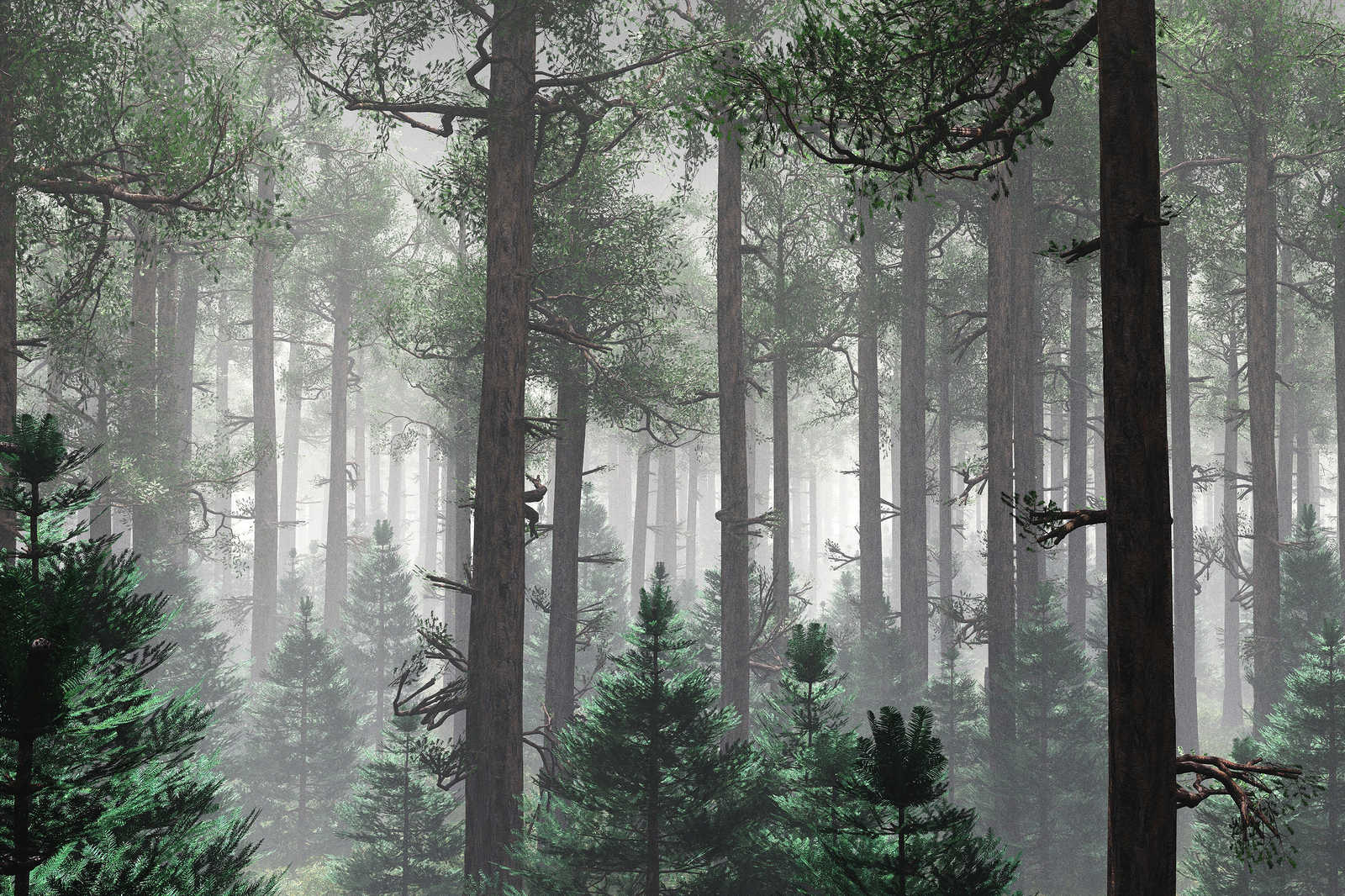 1600x1066 Canvas painting Forest in the mist with big trees - 90 m x 60 m