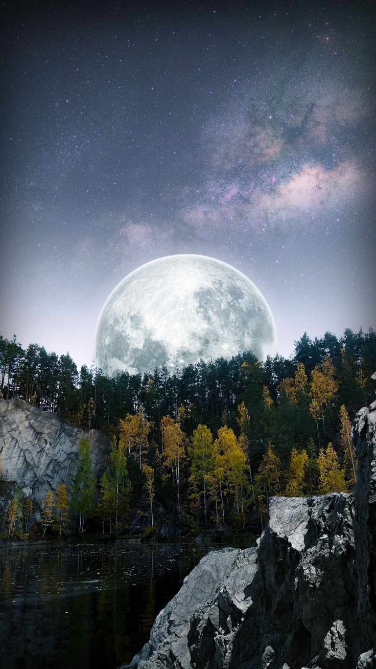 736x1308 iPhone Wallpaper