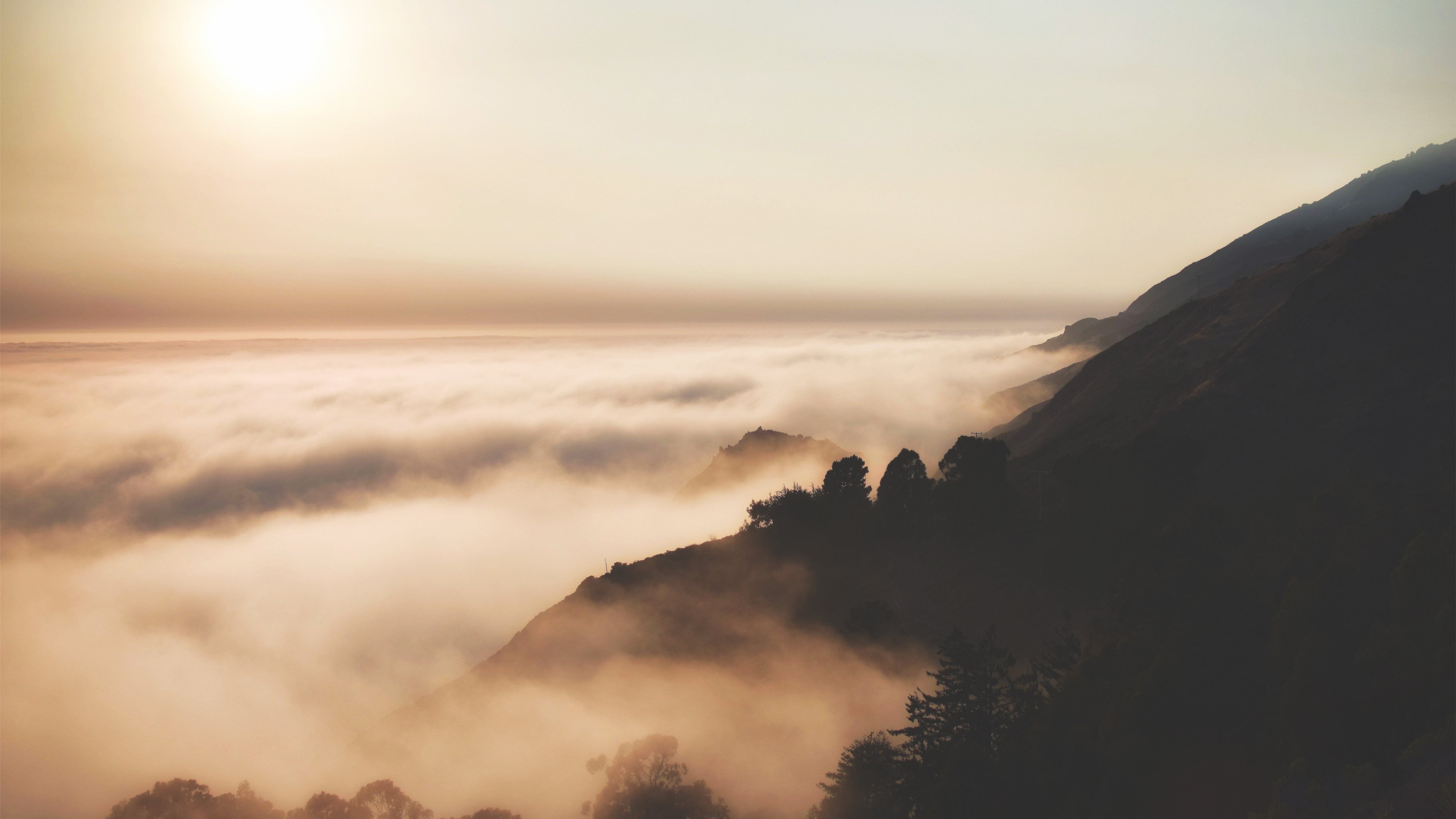 5120x2880 Big Sur forest sunrise MacBook Air Wallpaper Download
