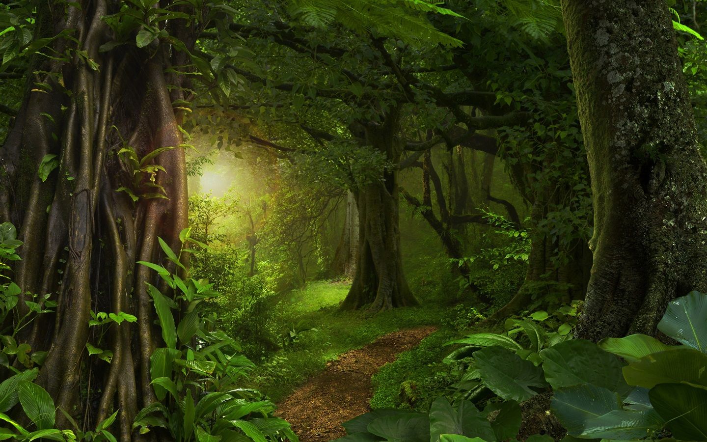 1440x900 Wallpaper Forest, jungle, trees, path, green 3840x2160 UHD 4K Picture, Image