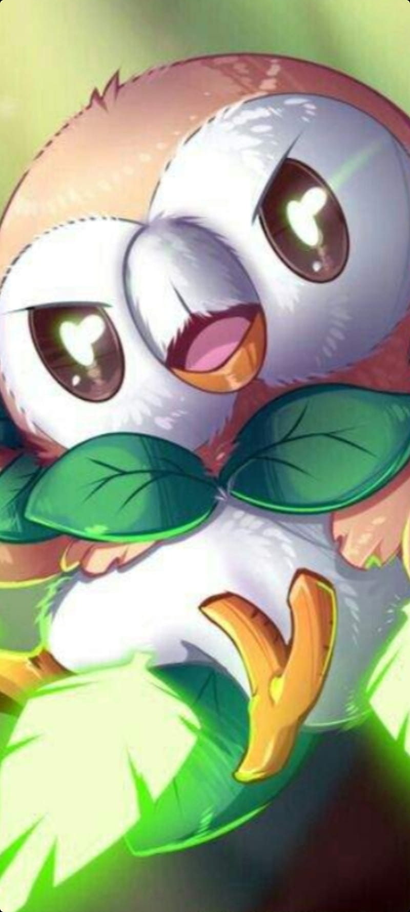 800x1778 HD rowlet wallpaper