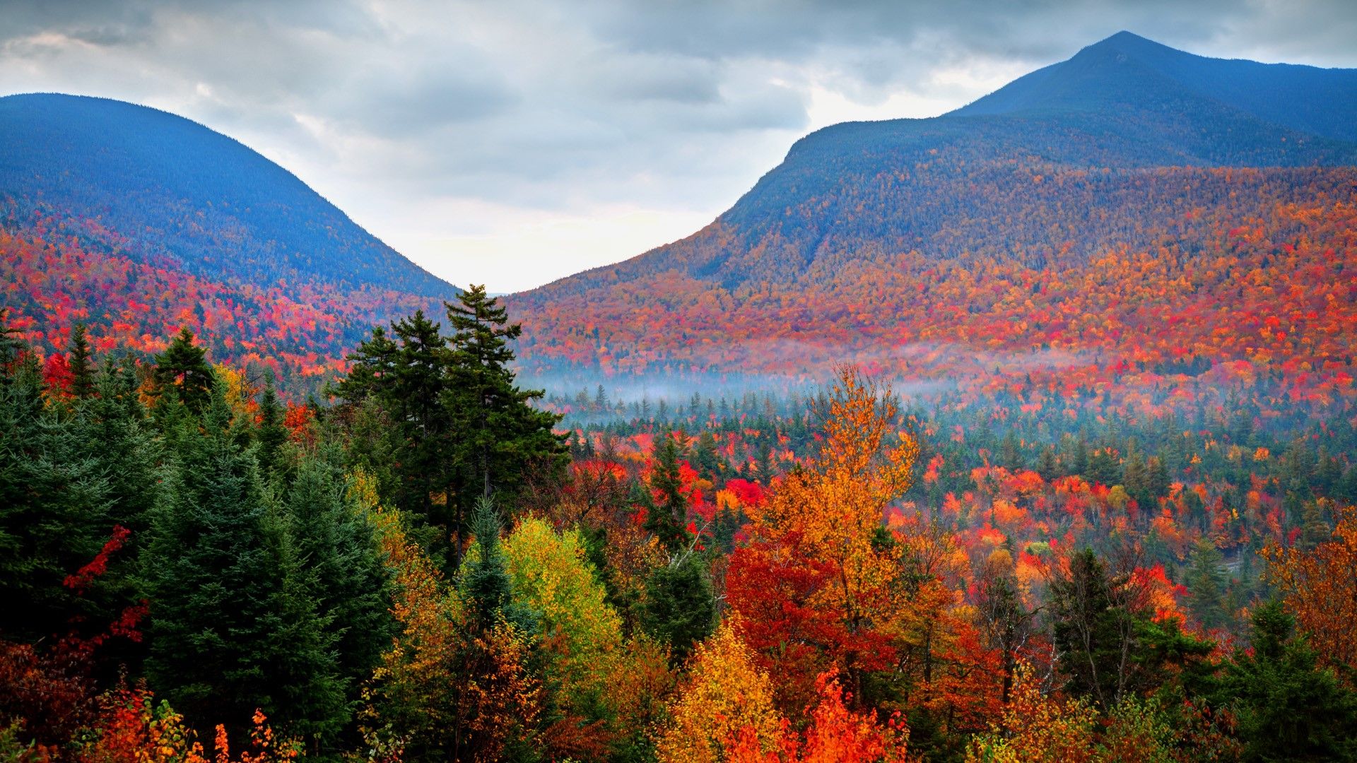 1920x1080 Autumn foliage fall in White Mountains National Forest, New Hampshire, USA. Windows Spotlight Image